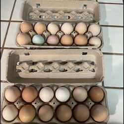 Organic Eggs / Huevos Orgánicos 