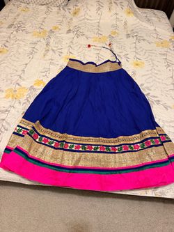Blue and Pink Embroidered Lehenga Skirt