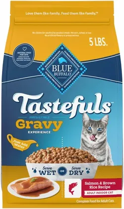Dry  Cat Food Salmon Flavored