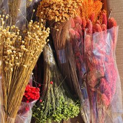 Nature Dried Flowers 