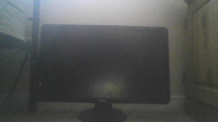Dell 20 in Monitor