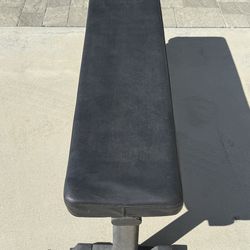Workout Bench