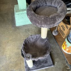 Cat Tree And Scratching 