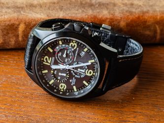 Citizen Promaster Land