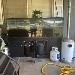 150 Gallon Fish Tank