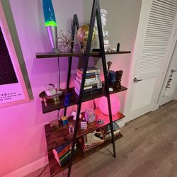 Hip Modern Book Case 