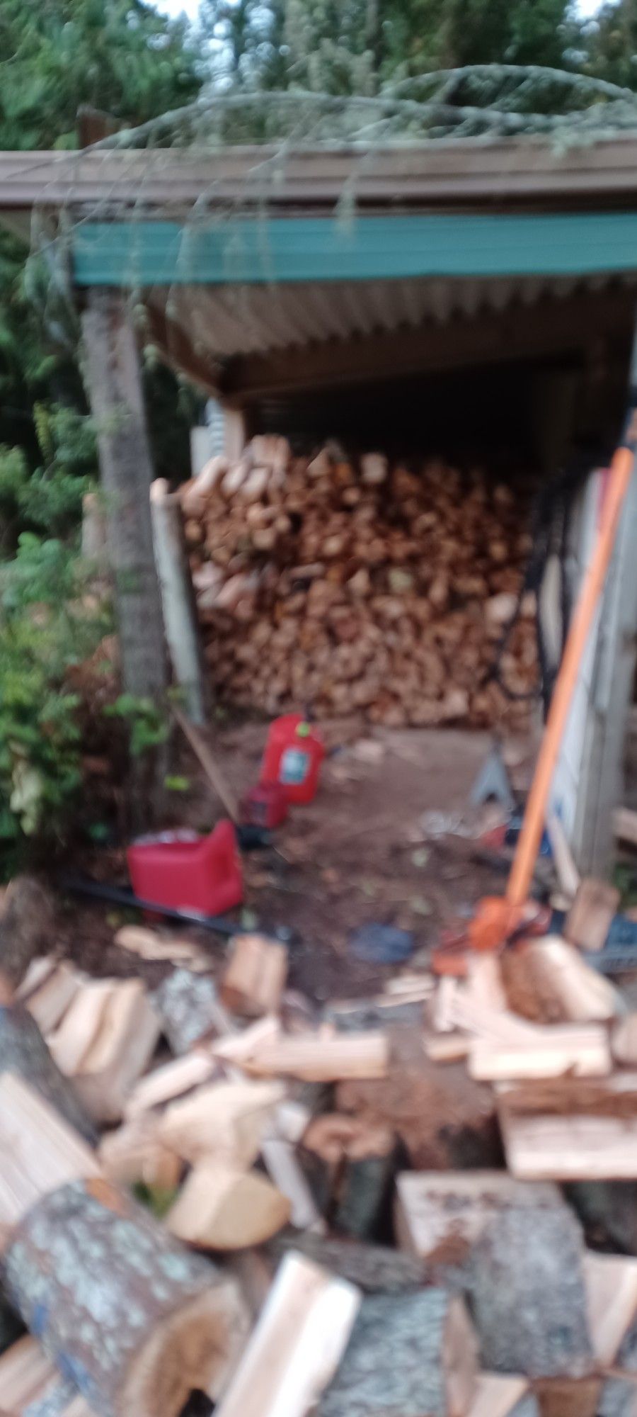 Firewood