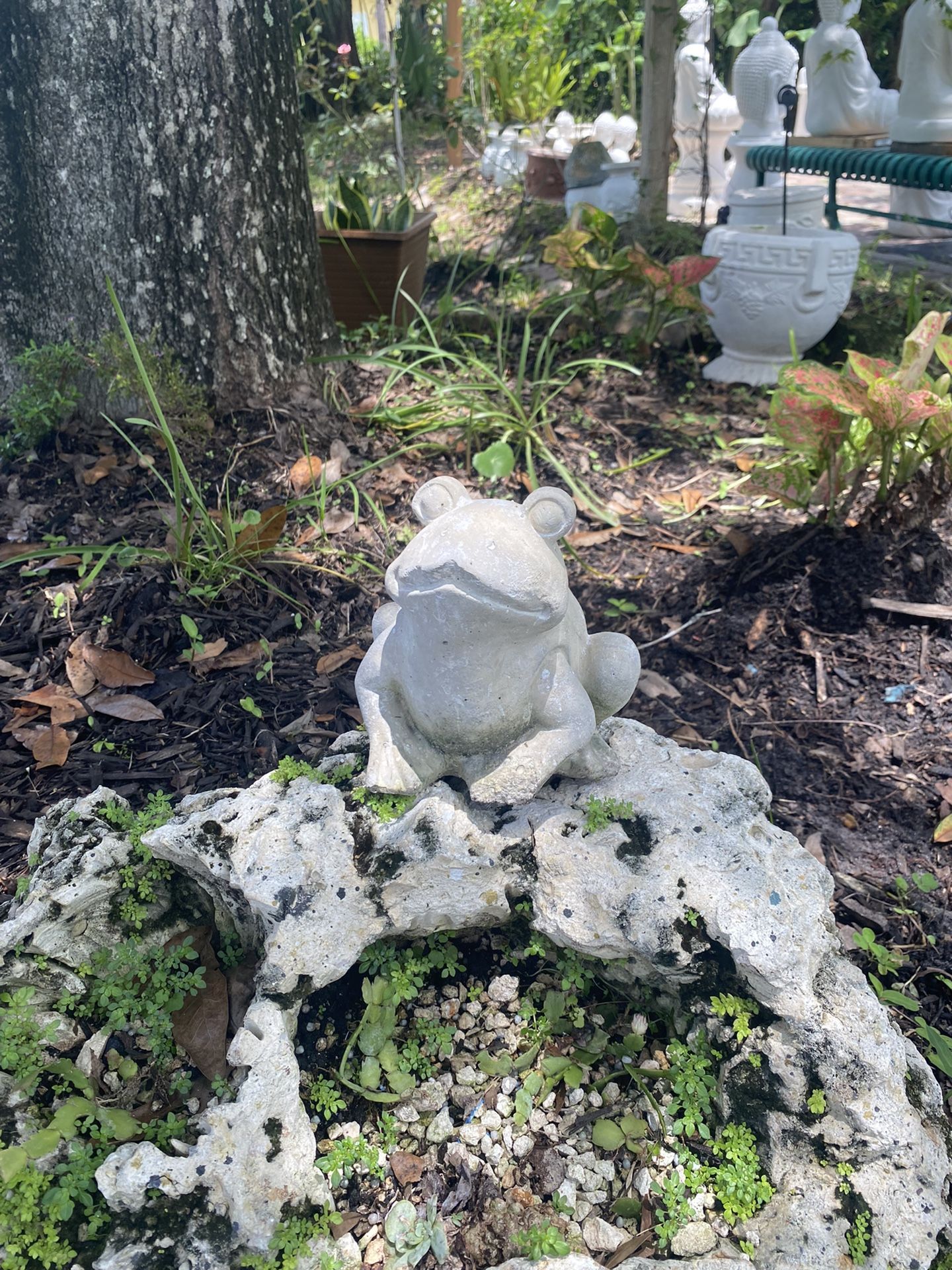Concrete Frog