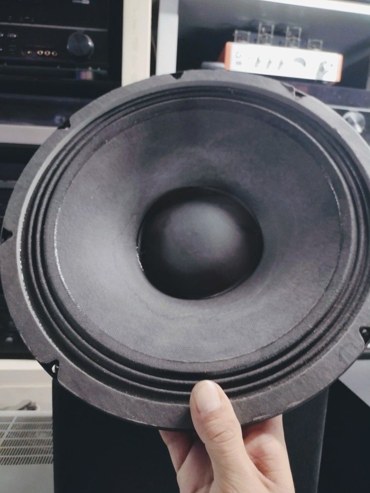 Pair Of 12" Speakers