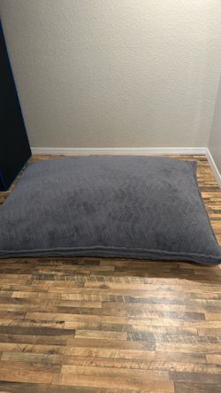 Free giant bean bag