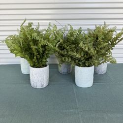 Set Of 5 Artificial Plants - Model Home Decor 