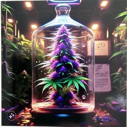 Purple Plant  Vinyl Decal