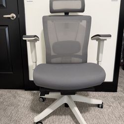 Ergonomic Chair