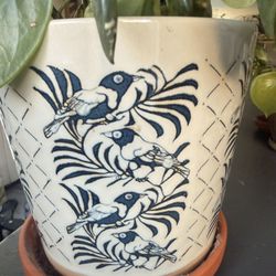 Vintage Pot With Indoor Plan