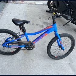 Giant Boys Bike