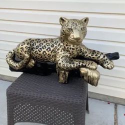 Golden Leopard On The Log