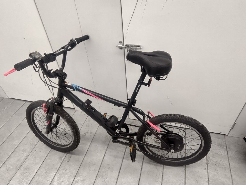 Electric Bike
