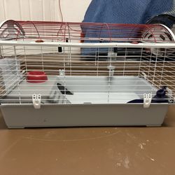 Bunnies Cage 