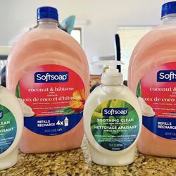 Hand Soap Bundle; $10