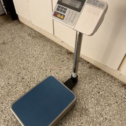 Platform Scale Industrial / Commercial Quality