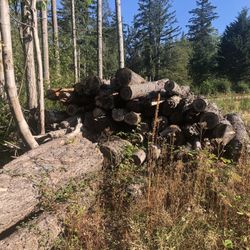 Seasoned Ready To Burn Firewood