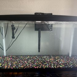 Fish Tank 29 Gal 