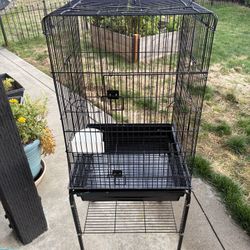 Bird cage 