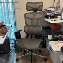 Ergonomic Adjustable Office Chair