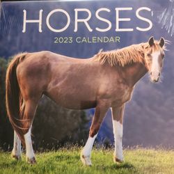 New 2023 Horse Calander 