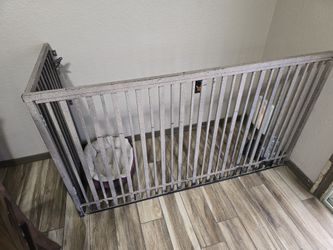 Small Dog Inside Kennel
