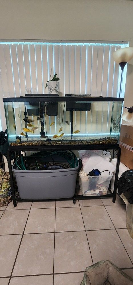 55 Gallons Fish Tank And Stand
