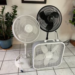 3 Fans For $30