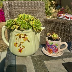 🫖 💚 1950s Vintage Hall's Superior teapot w Sunburst Succulents 