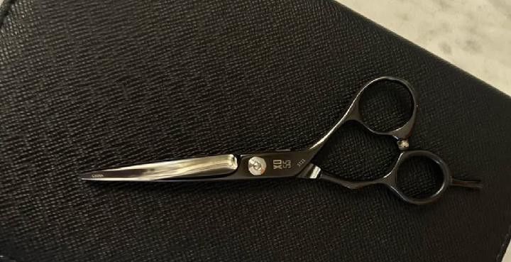 JW PROFESSIONAL SHEARS $60