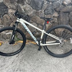 Specialized Boys Mountain Bike