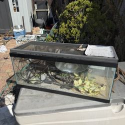 20 gal fish tank 