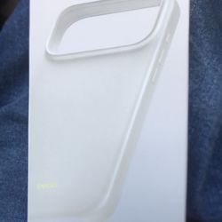 Beats iPhone 17 Pro Max Case (stone)