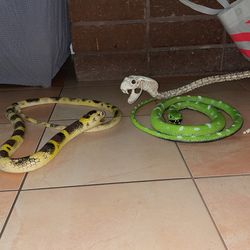 Snake Toys