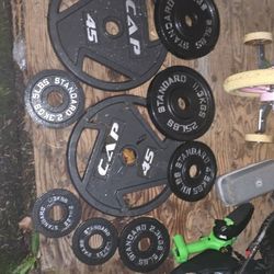 Bench, Bar And Weights