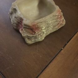 Reptile food bowls