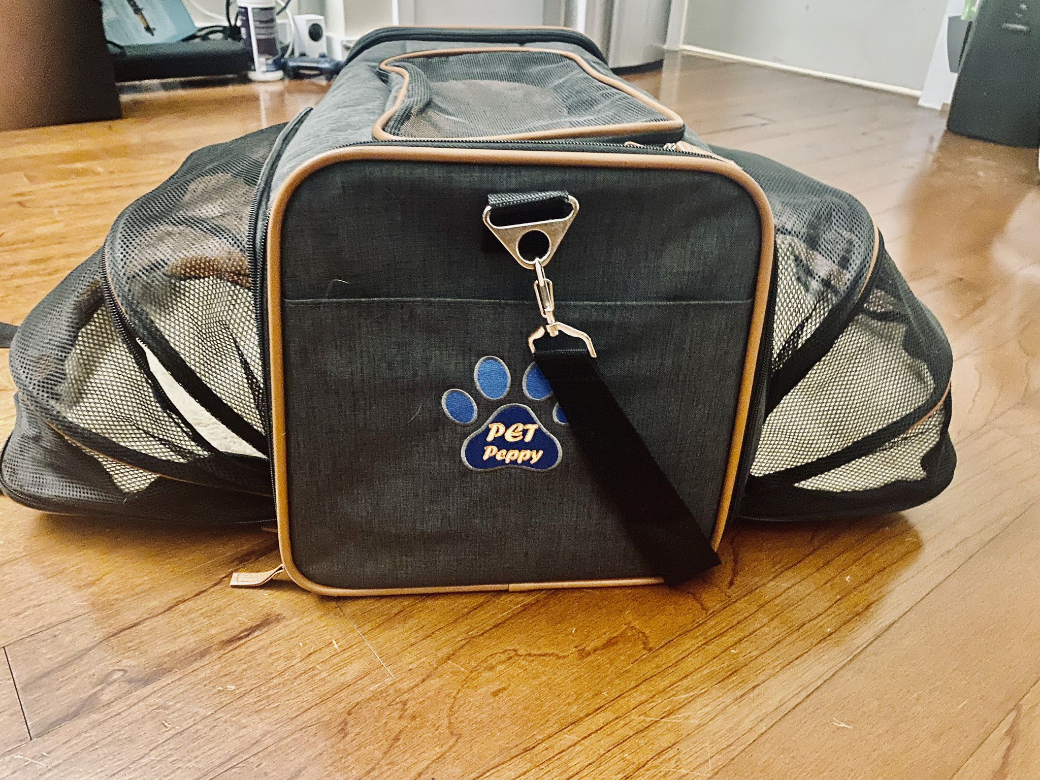 Pet Carrier (airline approved)