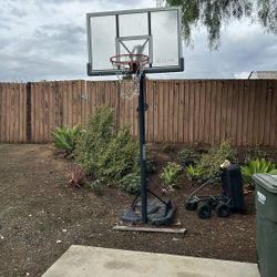 Adjustable Basketball Hoop Lifetime Elite 