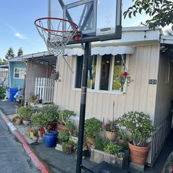 Lifetime 48-Inch Shatterproof Portable Basketball Hoop with Strong Arm Adjustment & Slam-It Rim Outdoor Play