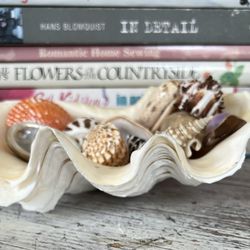 Vintage Clam Shell Dish with Sea Shells - Natural Seashell Specimen - Coastal Home Decor