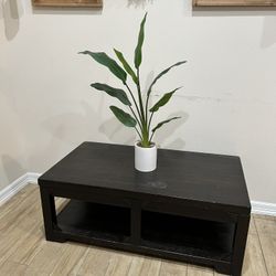 Solid Wood Expandable Coffee Table