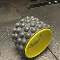 Acumobility Back Roller