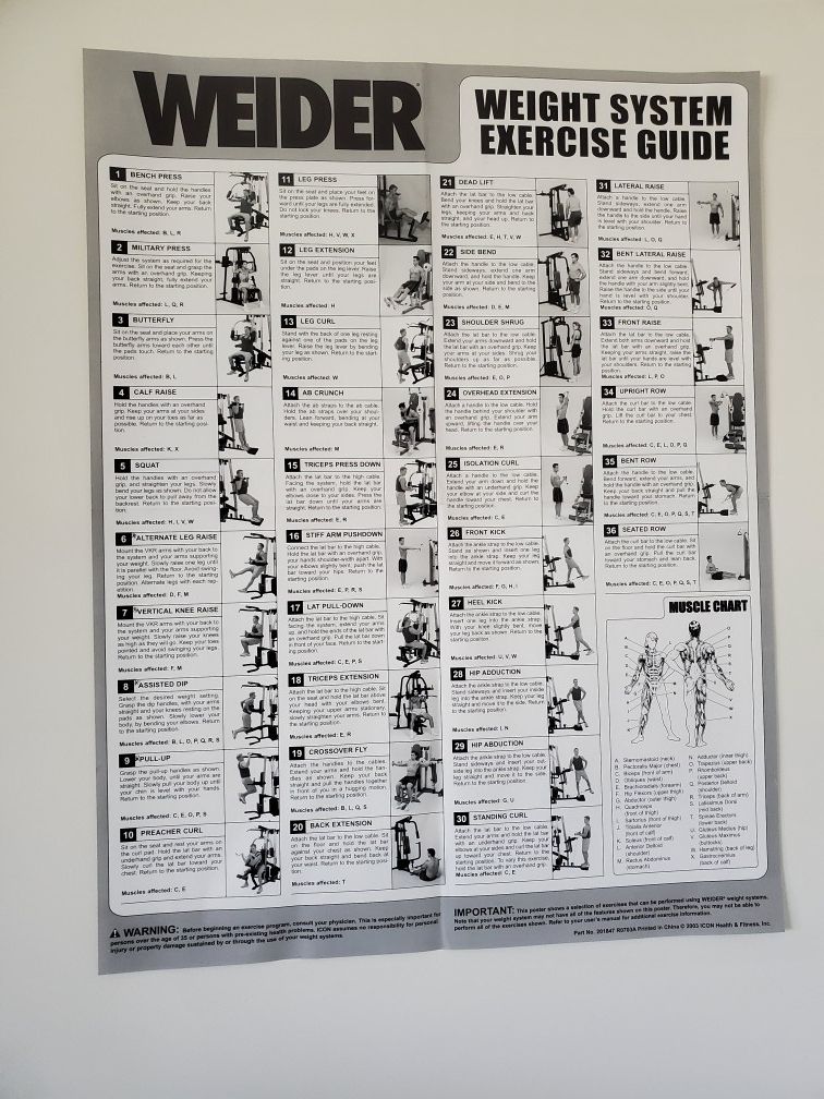 Weider pro 6900 workout chart hotsell