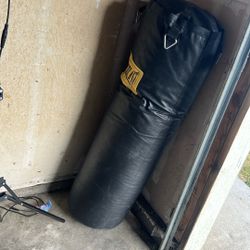 Everlast Punching Bag (chain And Hook Included)