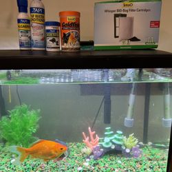Aquarium