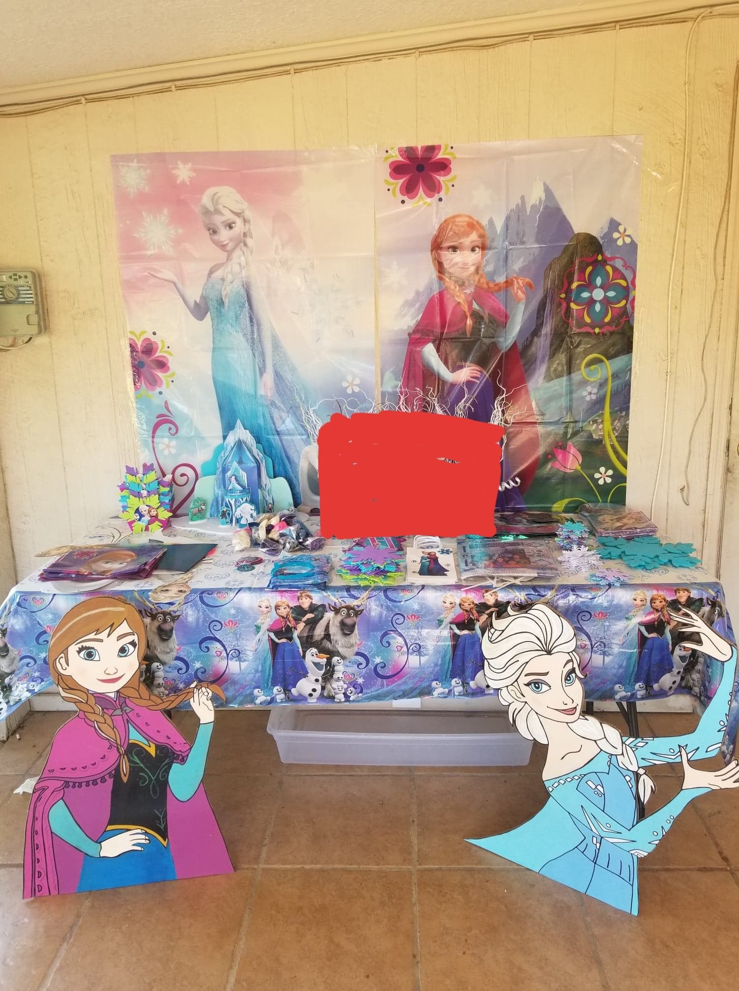 Frozen Party decorations.